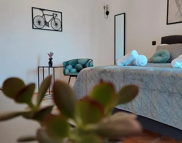 Apartment Kiara Zadar